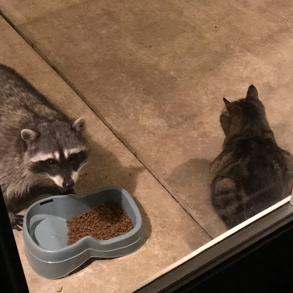 A little about my closet.... - Picture 4 of 8